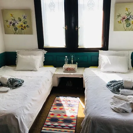 το αρχοντικο * Κρίκελλο